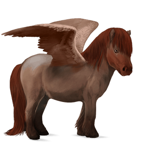 pony-pegasus haflinger zweetvos kastanje 