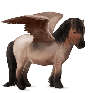 pony-pegasus bruin