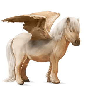pony-pegasus shetlander palomino