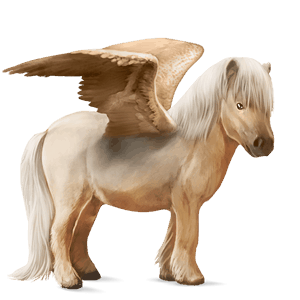 pony-pegasus shetlander wildkleur