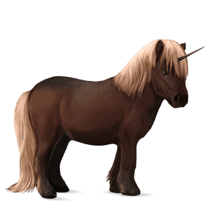 pony-eenhoorn shetlander kastanje tobiano