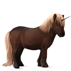pony-eenhoorn zweetvos lever kastanje 
