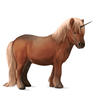 pony-eenhoorn kastanje