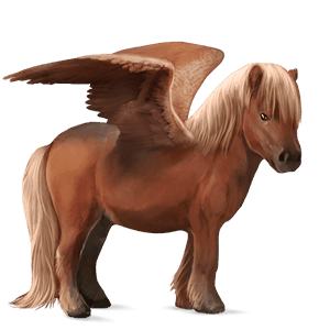 pony-pegasus zweetvos kastanje 