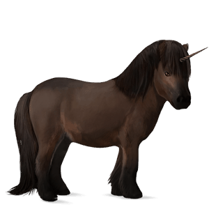 pony-eenhoorn kerry bog kastanje