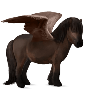 pony-pegasus donkerbruin