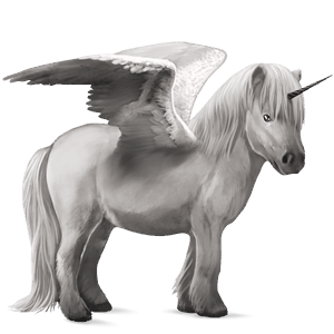 gevleugelde pony-eenhoorn  shetlander gestippeld grijs