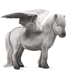 pony-pegasus shetlander lichtgrijs