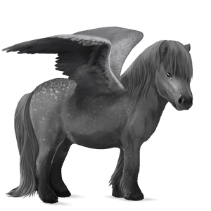 pony-pegasus shetlander gestippeld grijs