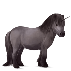 pony-eenhoorn zwart