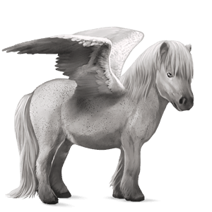 pony-pegasus shetlander gestippeld grijs