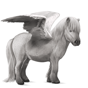 pony-pegasus donkerbruin