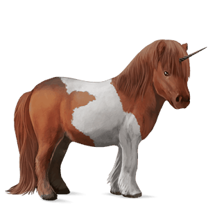 pony-eenhoorn shetlander kastanje tobiano