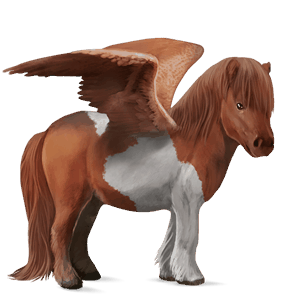 pony-pegasus shetlander donkerbruin