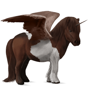 gevleugelde pony-eenhoorn  shetlander bruine tobiano