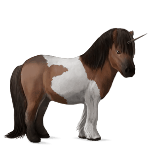 pony-eenhoorn shetlander bruine tobiano