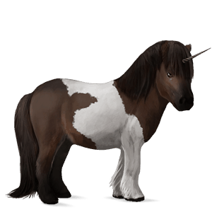 pony-eenhoorn shetlander zweetvos kastanje 