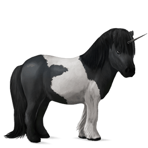 pony-eenhoorn shetlander wildkleur