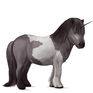 pony-eenhoorn shetlander lever kastanje tobiano