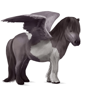 pony-pegasus palomino