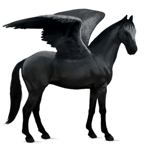 rijpaard-pegasus hannoveraan zwart
