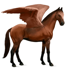 rijpaard-pegasus hannoveraan roodbruin