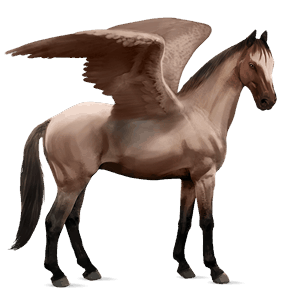 rijpaard-pegasus lusitano wildkleur