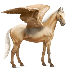 rijpaard-pegasus kwpn palomino
