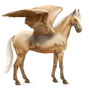 rijpaard-pegasus lusitano palomino