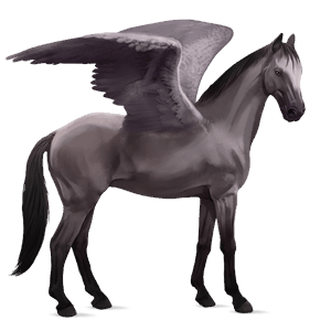rijpaard-pegasus kwpn muisgrijs