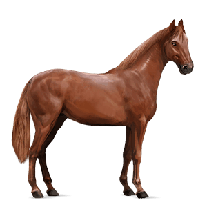 rijpaard lusitano kastanje