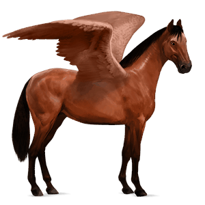 rijpaard-pegasus kwpn bruin