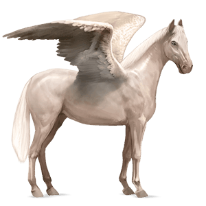 rijpaard-pegasus hannoveraan lichtgrijs