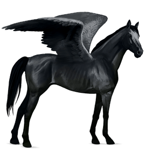 rijpaard-pegasus engelse volbloed zwart