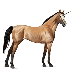 rijpaard-eenhoorn quarter horse wildkleur