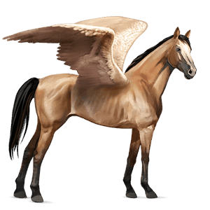 pony-pegasus zwart