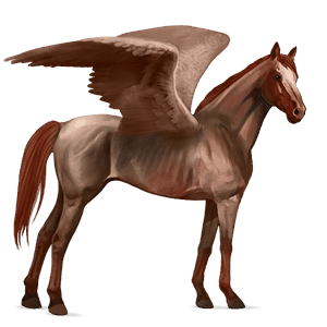 rijpaard-pegasus lusitano wildkleur