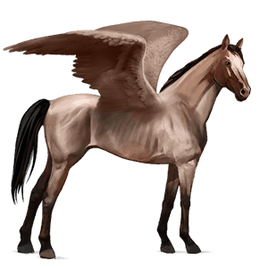 rijpaard-pegasus lusitano donkerbruin