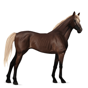 rijpaard lusitano gestippeld grijs