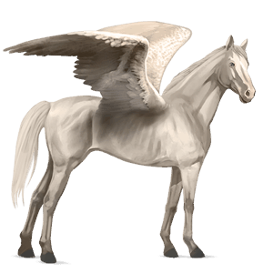 rijpaard-pegasus zweetvos kastanje 