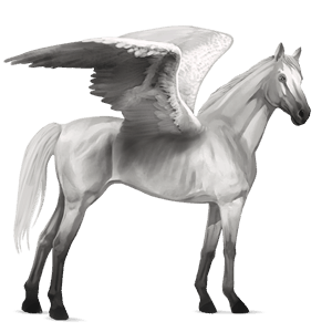 rijpaard-pegasus engelse volbloed lichtgrijs