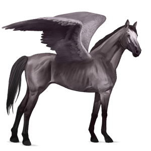 rijpaard-pegasus roodbruin