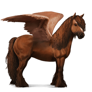 rijpaard-pegasus zwart