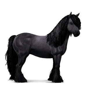 rijpaard tinker bruine tobiano