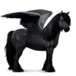 rijpaard-pegasus lusitano zwart