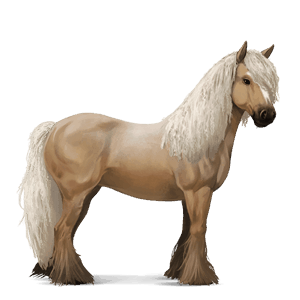 rijpaard tinker palomino