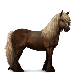 rijpaard tinker donkerbruine tobiano