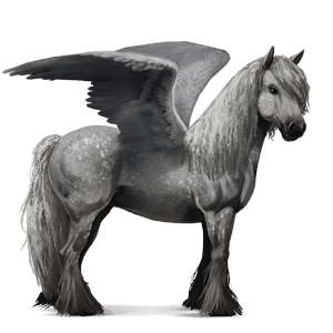 rijpaard-pegasus quarter horse roodbruin
