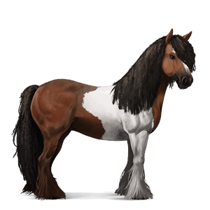 rijpaard tinker bruine tobiano