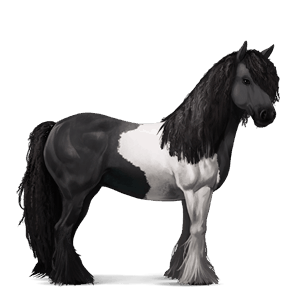 rijpaard tinker zwarte tobiano